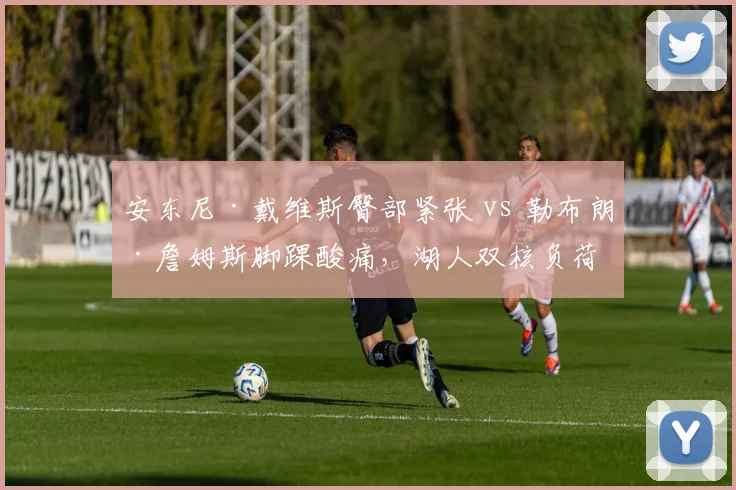 安东尼·戴维斯臀部紧张 vs 勒布朗·詹姆斯脚踝酸痛,湖人双核负荷管理策略深度对比