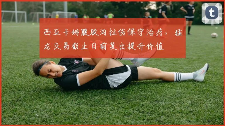 西亚卡姆腹股沟拉伤保守治疗，猛龙交易截止日前复出提升价值