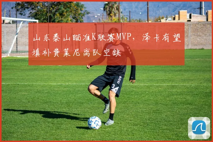 山东泰山瞄准K联赛MVP,泽卡有望填补费莱尼离队空缺